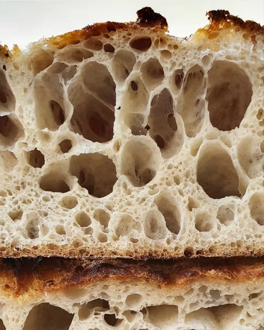 Finished bread crumb showing the structure learners can evaluate